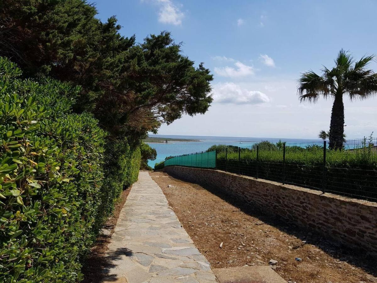 Pelosa - Capo Falcone Excellent Apartment Stintino Kültér fotó